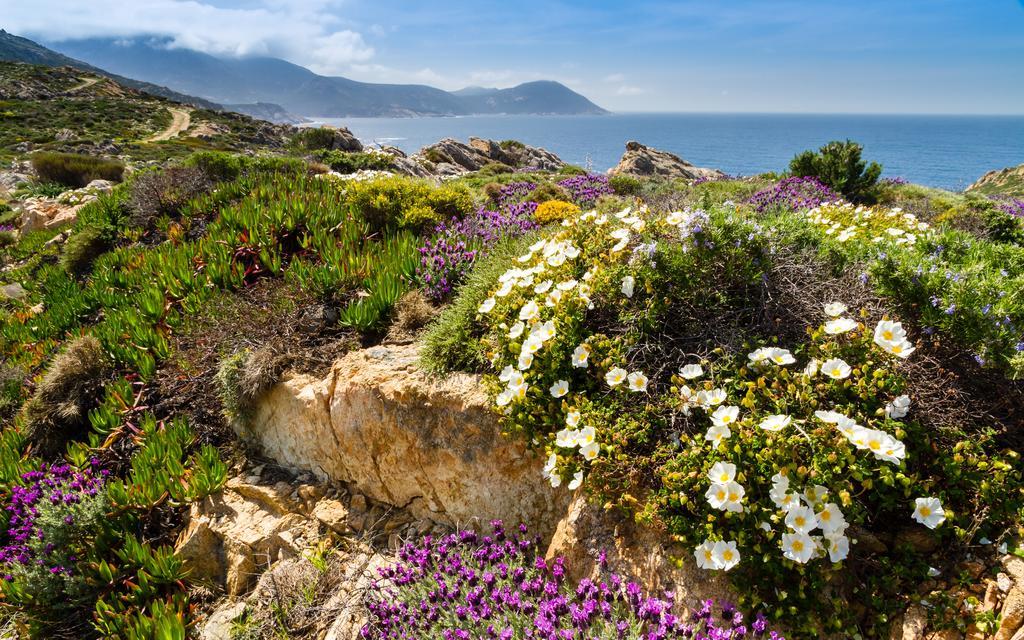 Casa Theodora - Hotel De Charme Et Caractere Muro  Dış mekan fotoğraf