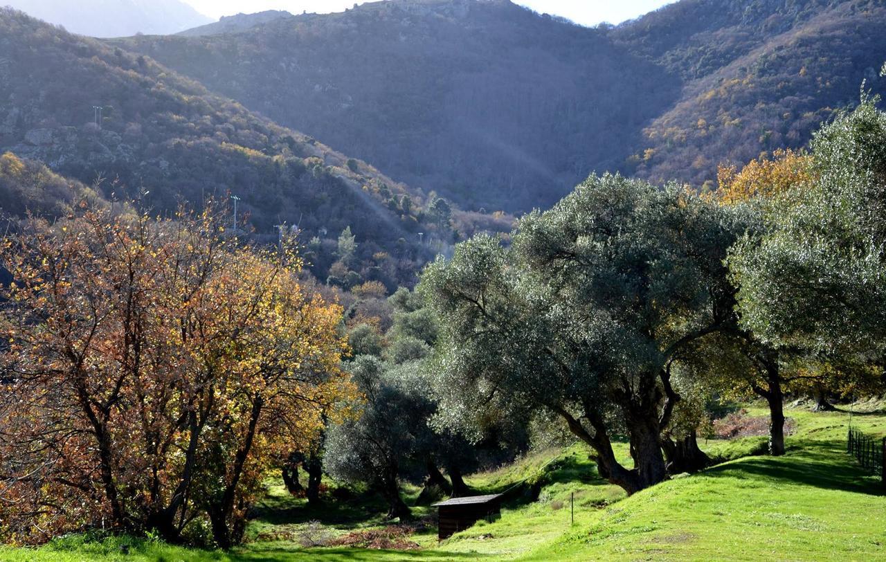 Casa Theodora - Hotel De Charme Et Caractere Muro  Dış mekan fotoğraf