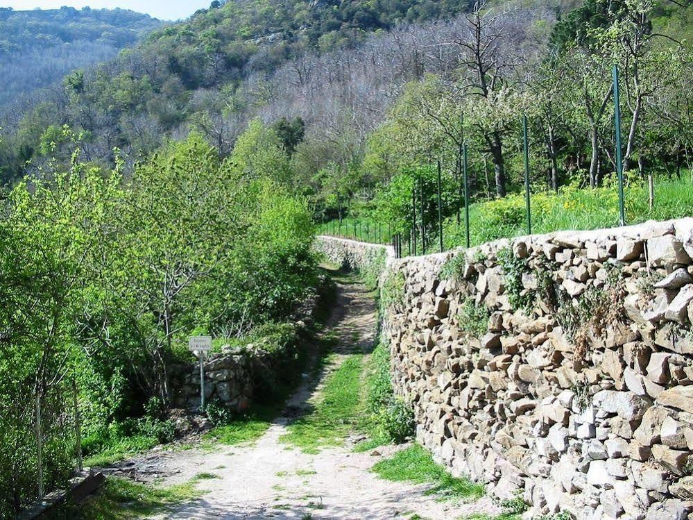Casa Theodora - Hotel De Charme Et Caractere Muro  Dış mekan fotoğraf